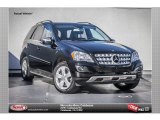 2010 Mercedes-Benz ML 350