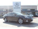 2010 Truffle Brown Mica Lexus ES 350 #88406501