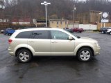 2010 Dodge Journey SXT