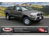 Pyrite Mica Toyota Tacoma in 2014