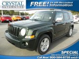 Natural Green Pearl Jeep Patriot in 2010