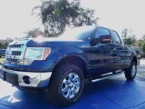 2014 Blue Jeans Ford F150 XLT SuperCab 4x4 #88576858