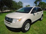 Light Sage Metallic Ford Edge in 2007