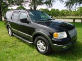2005 Black Clearcoat Ford Expedition XLT 4x4 #88577070