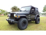 2003 Black Clearcoat Jeep Wrangler X 4x4 #88577032