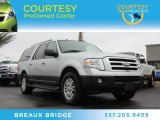 Ingot Silver Metallic Ford Expedition in 2012