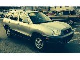 2004 Pewter Hyundai Santa Fe GLS 4WD #88667067