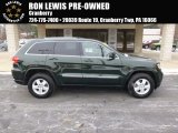 Natural Green Pearl Jeep Grand Cherokee in 2011