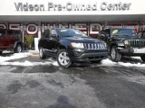 Brilliant Black Crystal Pearl Jeep Compass in 2011