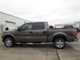 2014 Sterling Grey Ford F150 XLT SuperCrew #88724520