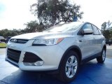 2014 Ingot Silver Ford Escape SE 1.6L EcoBoost #88724603