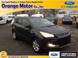 2013 Tuxedo Black Metallic Ford Escape SEL 2.0L EcoBoost 4WD #88724780