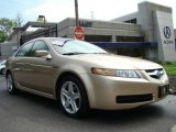 2005 Desert Mist Metallic Acura TL 3.2 #8845561