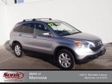 2007 Whistler Silver Metallic Honda CR-V EX-L #88724854