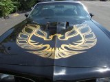 1977 Pontiac Firebird Trans Am Coupe Marks and Logos