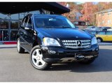 2008 Mercedes-Benz ML 350 4Matic