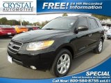 2007 Ebony Black Hyundai Santa Fe Limited #88866030