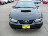2004 Black Ford Mustang GT Coupe #8843907