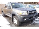 Pyrite Mica Toyota Tacoma in 2011