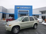 2005 Gold Ash Metallic Ford Escape Limited 4WD #88891839