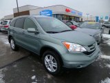 2011 Opal Sage Metallic Honda CR-V EX-L 4WD #88920866