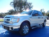 2014 Ingot Silver Ford F150 XLT SuperCrew #88960038