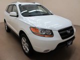 2008 Powder White Pearl Hyundai Santa Fe SE #88959865