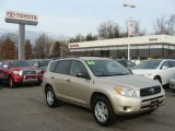 Savannah Metallic Toyota RAV4 in 2008