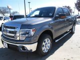 2014 Sterling Grey Ford F150 XLT SuperCrew #89161184