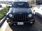 2003 Black Clearcoat Jeep Liberty Limited #89243204