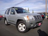 2005 Silver Lightning Metallic Nissan Xterra SE 4x4 #89274856