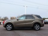 Sand Beige Metallic Mercedes-Benz ML in 2010