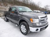 2013 Sterling Gray Metallic Ford F150 XLT SuperCab 4x4 #89300806