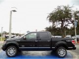 Tuxedo Black Ford F150 in 2014