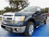 2014 Blue Jeans Ford F150 XLT SuperCrew #89336538