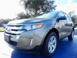 2014 Mineral Gray Ford Edge SEL #89381649