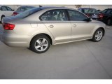 Moonrock Silver Metallic Volkswagen Jetta in 2014