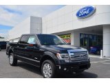 2013 Tuxedo Black Metallic Ford F150 Platinum SuperCrew 4x4 #89410384