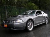 2004 Dark Shadow Grey Metallic Ford Mustang GT Coupe #8927917