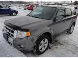 2012 Sterling Gray Metallic Ford Escape Limited #89433877
