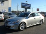 2013 Platinum Metallic Hyundai Genesis 3.8 Sedan #89518891