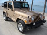 1999 Desert Sand Pearlcoat Jeep Wrangler Sahara 4x4 #89566508