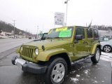 2008 Rescue Green Metallic Jeep Wrangler Unlimited Sahara 4x4 #89566937