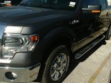 2014 Sterling Grey Ford F150 XLT SuperCrew #89629662