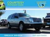 Ingot Silver Metallic Ford Expedition in 2011