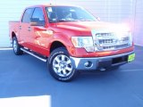 2013 Race Red Ford F150 XLT SuperCrew 4x4 #89674058