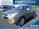 2011 Chai Bronze Hyundai Tucson Limited #89762322