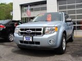 2008 Light Ice Blue Ford Escape Hybrid 4WD #8973787