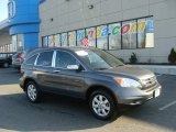 2011 Honda CR-V SE 4WD