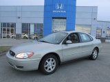 2007 Arizona Beige Metallic Ford Taurus SEL #89858272